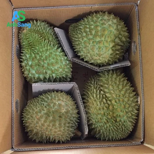
Fresh durian in the fruit kingdom of Tien Giang 