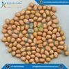 Bold Peanuts 120/140 - Premium Quality of Groundnut Seeds Exporters