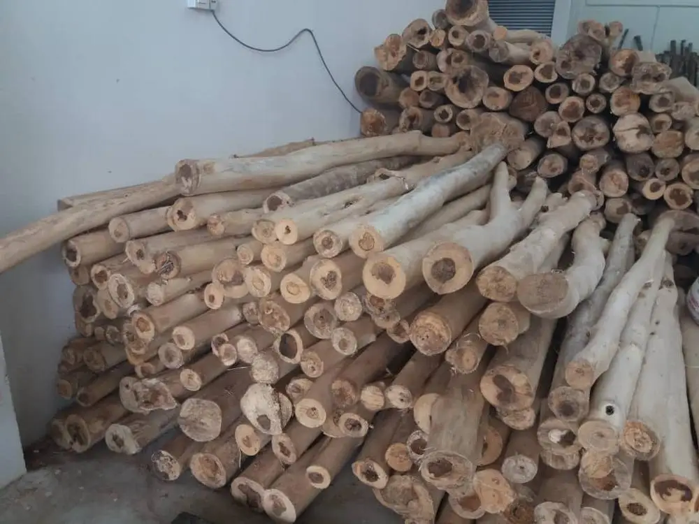
Cultivated Malaysia Agar_wood Wood Logs with Skin Removed 