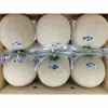 Best Quality Japan Best Quality Fruits Fresh Crown Melon