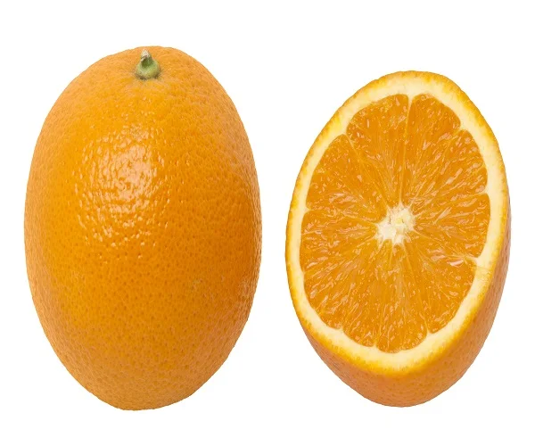 quality wholesale fresh orange / fresh fruit