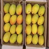 Fresh Alphonso Mango Exporters To Tuvalu/Turks and Caicos Islands/Turkmenistan/Trinidad and Tobago/Tunisia