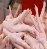 /product-detail/brazil-halal-frozen-whole-chicken-frozen-chicken-paws-frozen-processed-chicken-feet-50035395499.html