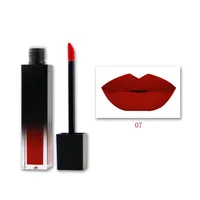 

Cosmetics make your own matte liquid lipstick private label
