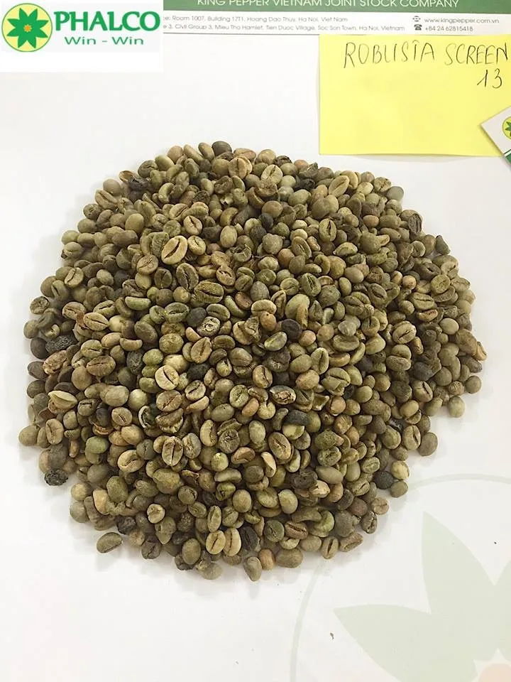 Robusta R16 R18 Coffee Bean From Viet Nam Buy Green Coffee Bean