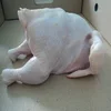 Healthy Frozen Chicken Paws , Feets and Wings Ready for Sale