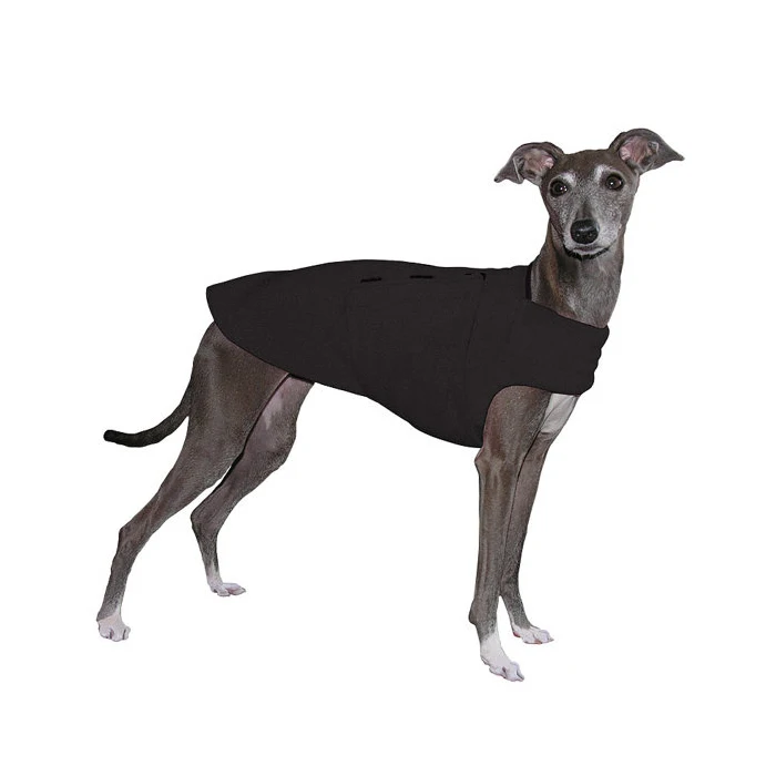 italian greyhound price range