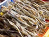 Dried Bombay Duck Fish - Best Price and Quality
