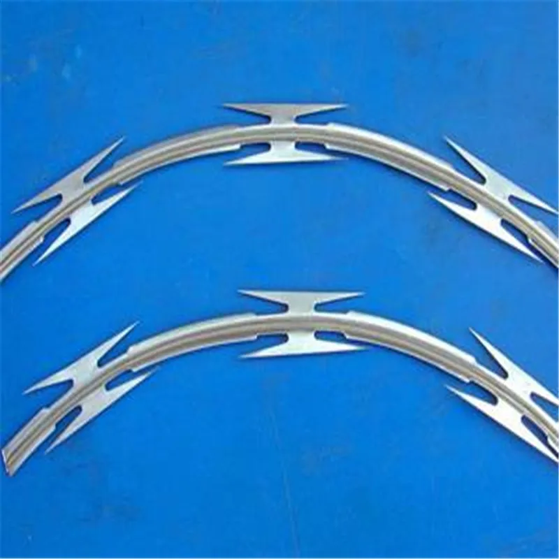 10 米镀锌带刺钢军事安全剃刀线