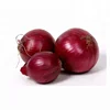 Fresh Onion / Fresh Red Onion / Onion Supplier In India