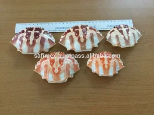 stuffed crab shell2