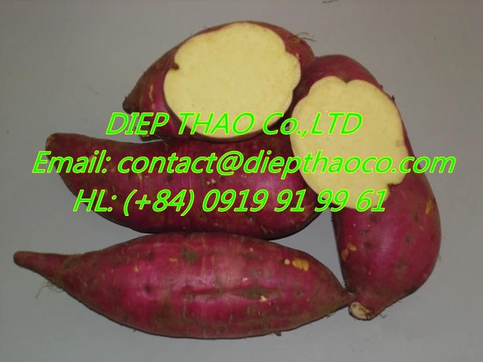 fresh yellow sweet potato.JPG