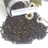 VIETNAM BLACK PEPPER 500 GL CLEANED ASTA MACHINE CLEANED --- [WP 0084 989322607]