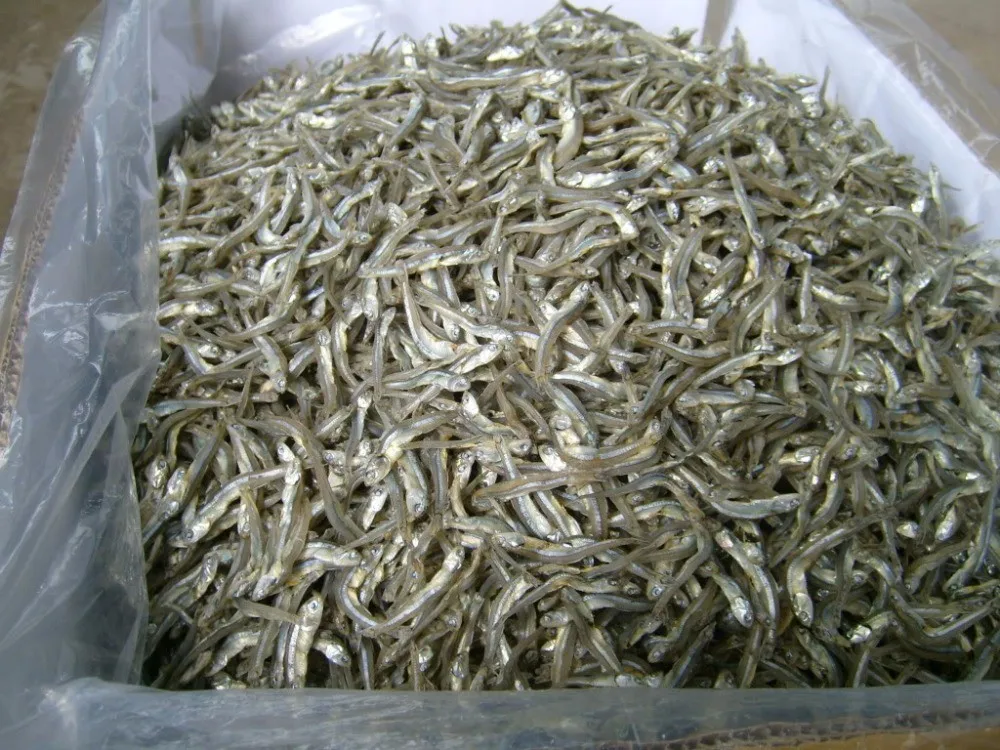 dried anchovy in packing pe:carton