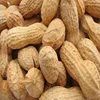 peanut ,>New Crop Round Shape Peanuts Kernels