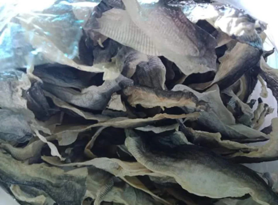 Dried Fish Scale/ Fish Skin Cheap Price Buy Dried Fish Scale