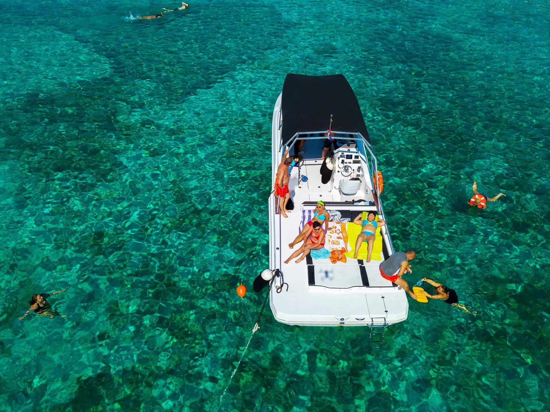 
High Quality Commercial Boat EXCURSION 36 