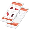 School Mobile Application Design and Development