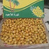 You can also make the good recipe out of these Dates like Dates shake and much more// BRAHI DATES