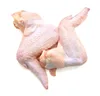 /product-detail/clean-halal-chicken-feet-frozen-chicken-paws-brazil-fresh-chicken-wings-and-foot-for-sale-62006694274.html