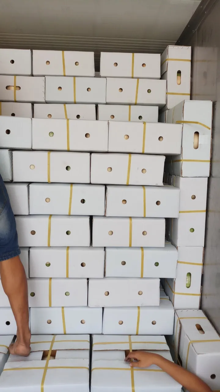 Fresh King Coconut Young Diamond Coconut Price In Kerala Buy