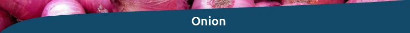 Onion-t.jpg