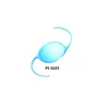 CE Certified Medical Grade Poly Methyl Metha Acrylate Material High Quality Posterior PMMA IOL Lens