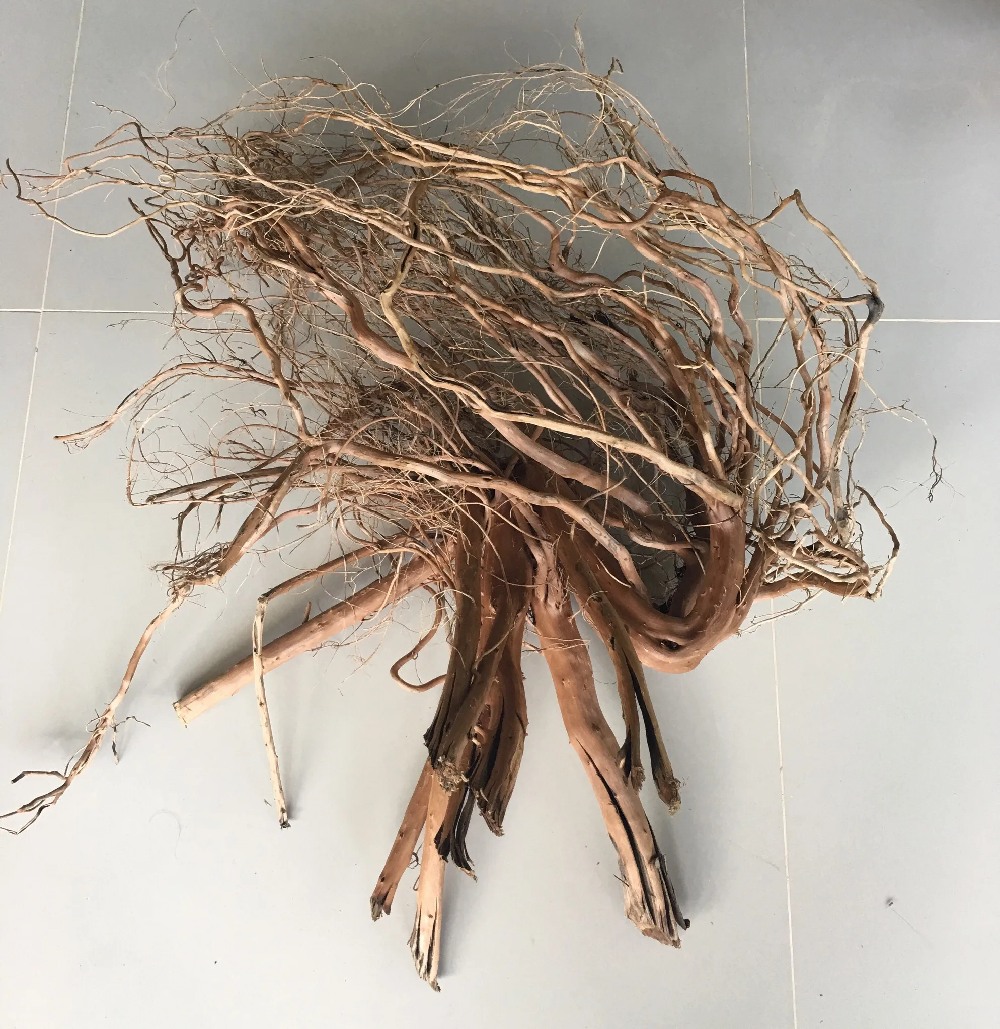 Natural Aquarium Tree Root Thailand Buy Aquarium Decoration Roots