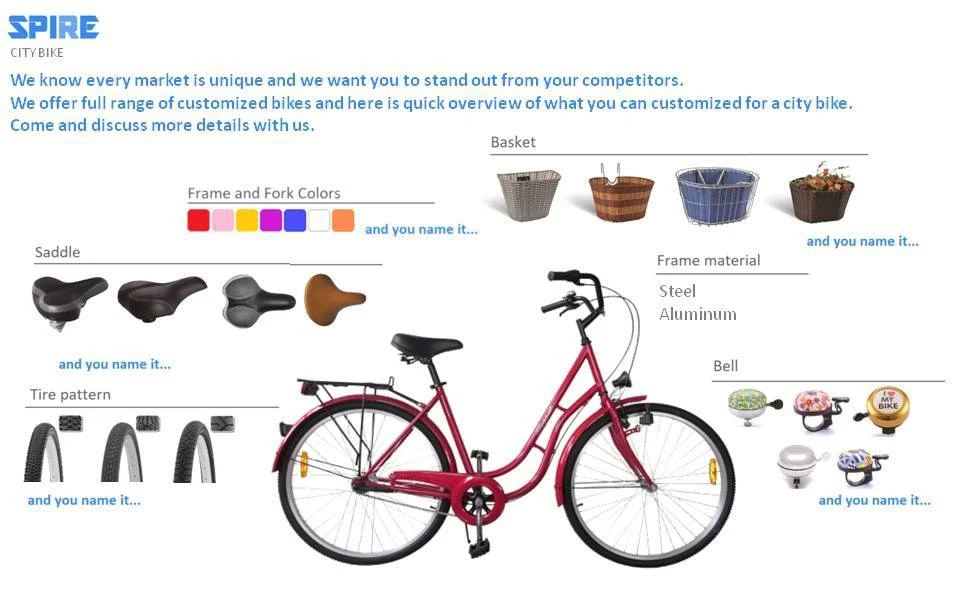 28 inch city bike for lover of dutch/classic bike