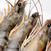 Aquatic enzymes to stimulate shrimp growth