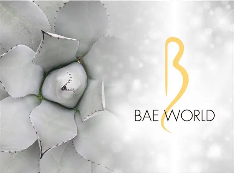 baeworld_01_R