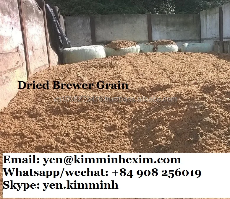 Dried Brewer Grain Dried Beer Brewer For Animal Feed Buy Dried