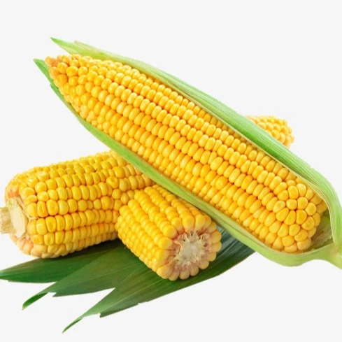 fresh frozen sweet healthy fresh premium canned whole kernel