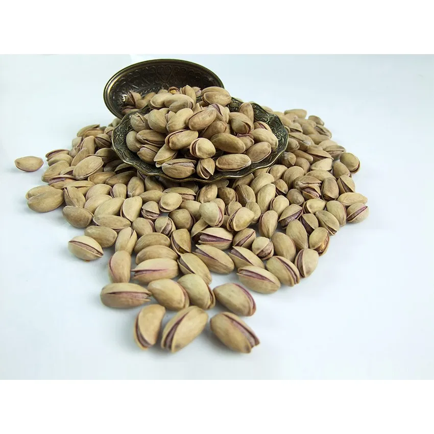 Turkish Pistachio Nuts In Shell Roasted And Salted Premium Quality From
