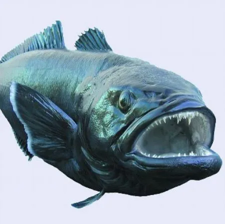 
CHILEAN SEA BASS / PATAGONIAN TOOTH FISH 
