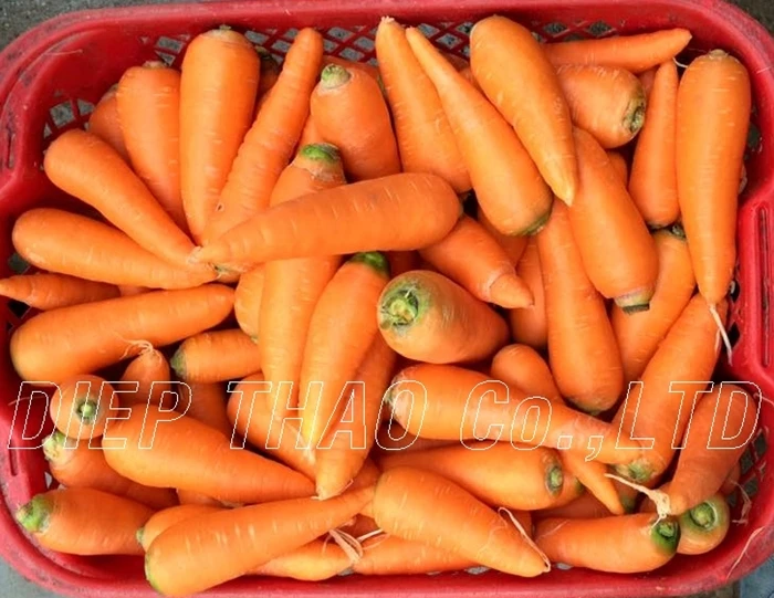 carrot-fresh.jpg