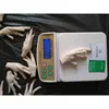 Product Frozen Chicken feet , Skin less , Packaging 20 Kg Master Carton Customer Quality Grade A Cheep Price Available all o