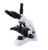 (BM-50T)Infinite40X-1000X LED Trinocular Compound Microscope w 3D Two-Layer Mechanical Stage