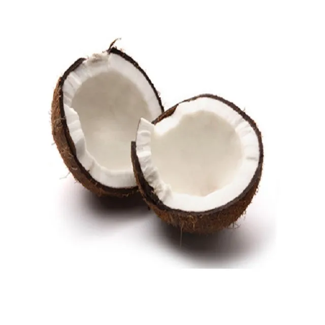 tropical & sub-tropical fruit product type fresh mature coconut