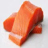 Frozen Salmon, frozen atlantic salmon, frozen whole salmon
