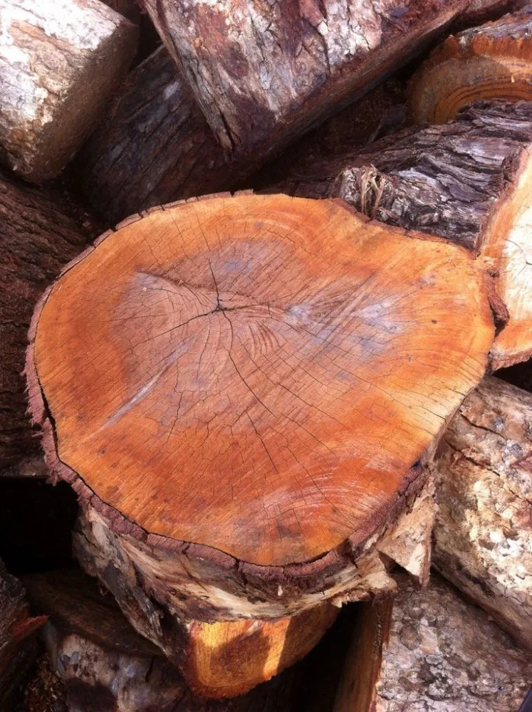 
100% TOP QUALITY FIREWOOD FOR SALES 