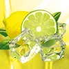 TOP QUALITY! OFFER FRESH LIME at HIGH QUALITY and THE MOST COMPETITIVE PRICE 2019