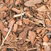 Pine wood chips