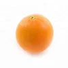 Wholesale Fresh Orange / Fresh Fruit / Fresh Oranges Sweet Orange