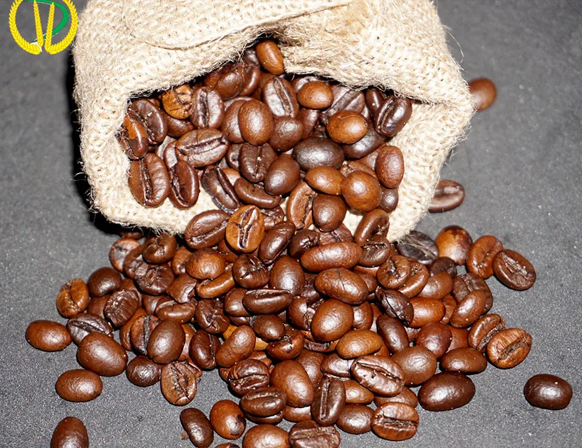 
ROBUSTA COFFEE BEANS ROASTED PRICE FOR SALE WITH DELICIOUS TASTE 