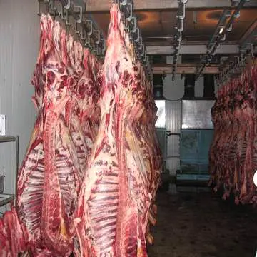 
HALAL FRESH / FROZEN GOAT / LAMB / SHEEP MEAT / CARCASS 