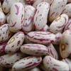 Light Speckled Kidney Beans / Pinto Beans / Sugar Beans New Crop.