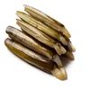 Scottish shellfish