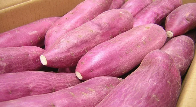 Fresh sweet potato, yellow or purple flesh, delicious and nutritious, hot sales 2019