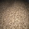 Wood Pellet - competitive price for exporting 2019